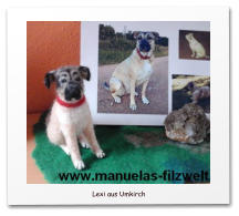 Nadelgefilzte Hunde, Mischling, Filzhund,needle felting,