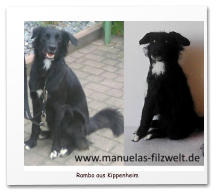 Nadelgefilzte Hunde, Mischling, Filzhund,needle felting,