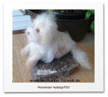 Nadelgefilzte Hunde, Mischling, Filzhund,needle felting,
