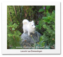 Nadelgefilzte Hunde, Mischling, Filzhund,needle felting,