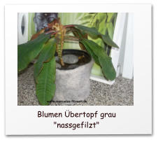 nassfilzen, wetfelted, Blüten, BLumen, Lilien, Mohnblumen, Wohnaccessoire,Flower, wet felted flower,  