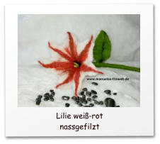 nassfilzen, wetfelted, Blüten, BLumen, Lilien, Mohnblumen, Wohnaccessoire,Flower, wet felted flower,  